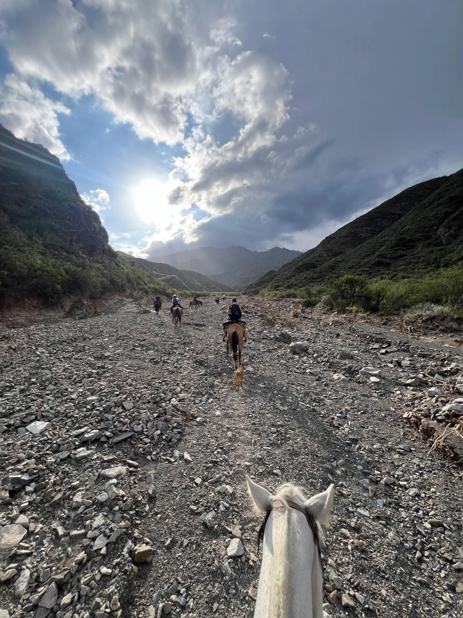 Paardrijden in Mendoza, Argentinië